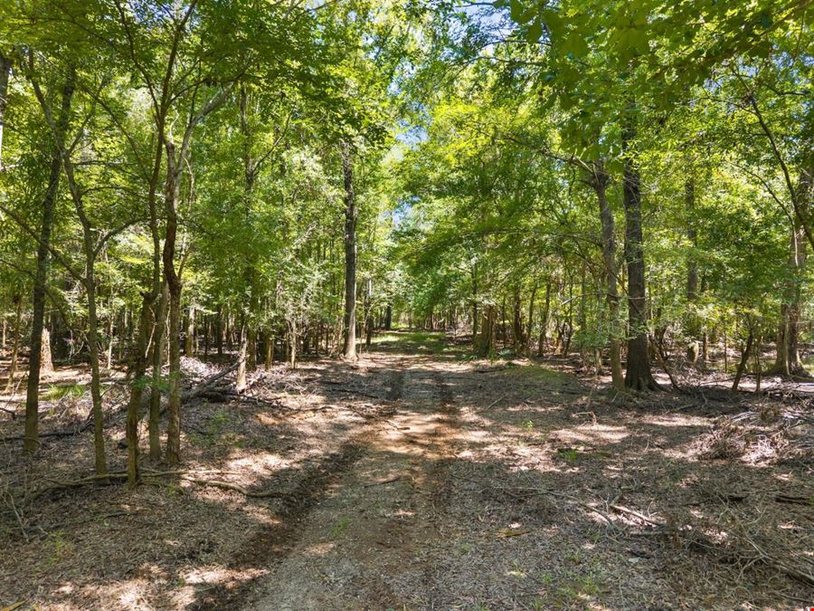 1726 GA Hwy 147