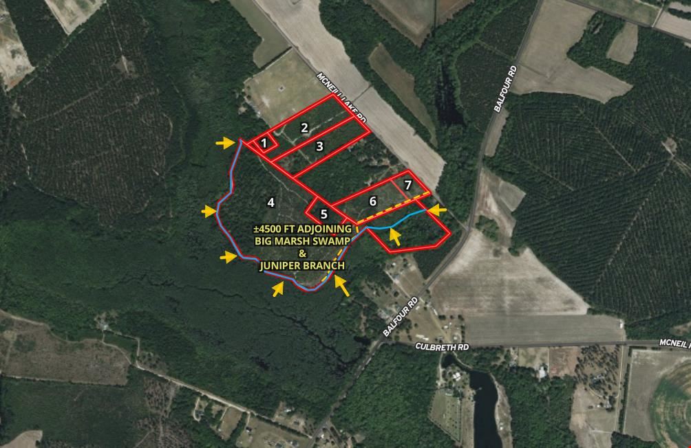 ±76 Acres McNeill Lake Rd