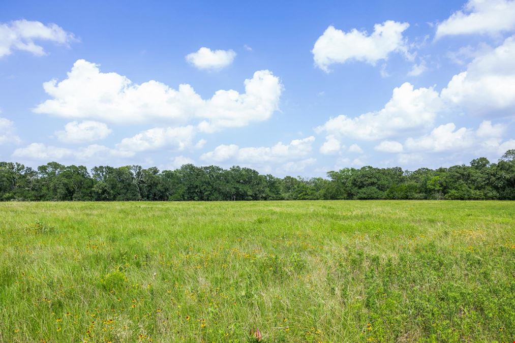 TBD Hopes Creek Road - 40 Acres
