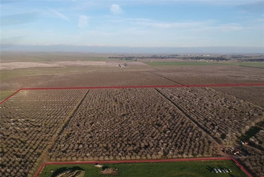 161 +/- ACRES Agricultural Land