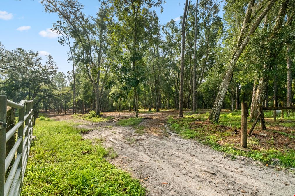 Brooksville 12 Acre Tract