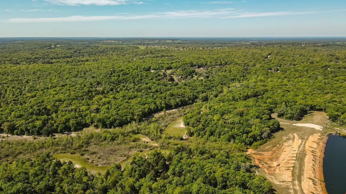 SEC TX-7 Loop & FM 2494