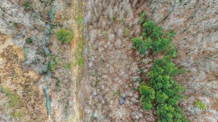 ±53.70-Acre Recreational Tract for Sale in Clinton, SC