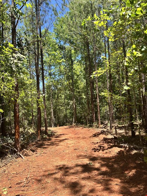Woods Road Farm Tracts