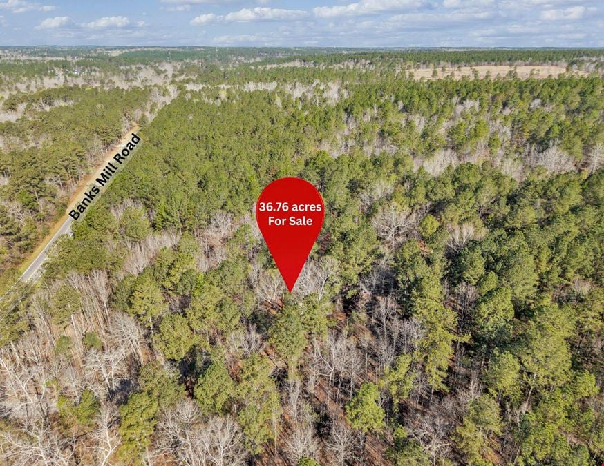 Banks Mill Rd SE (36.76 acres)