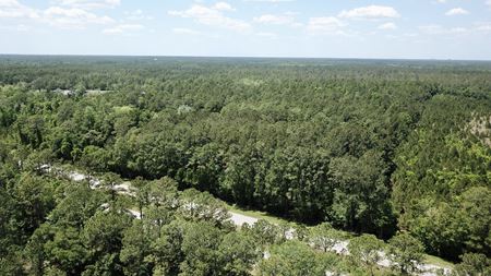 Preview of VacantLand space for Rent at 6310 NE Waldo Rd Gainesville, FL  & 6505 N CR-225 Gainesville, FL 32609