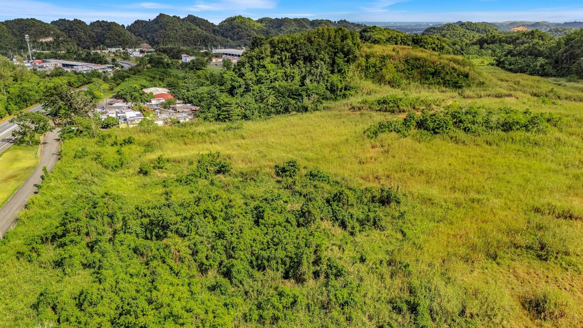 73 Developable Acres in Dorado - For Sale