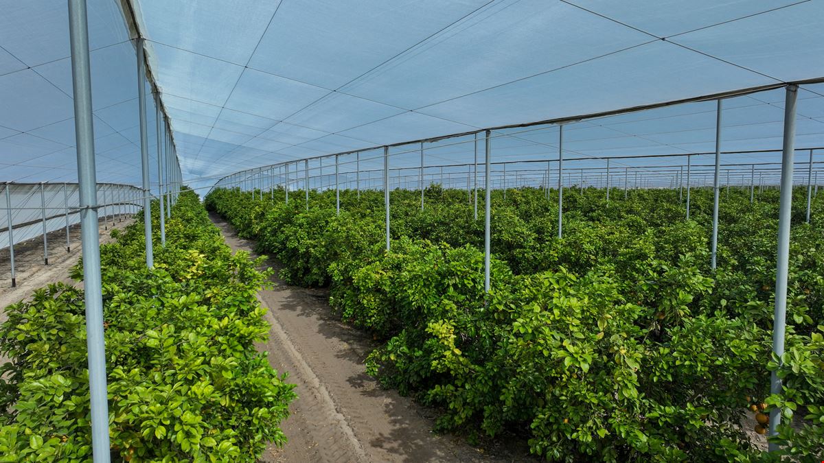 Florida Rubies Agricultural Investment Property