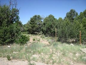 16 Roadrunner Rd