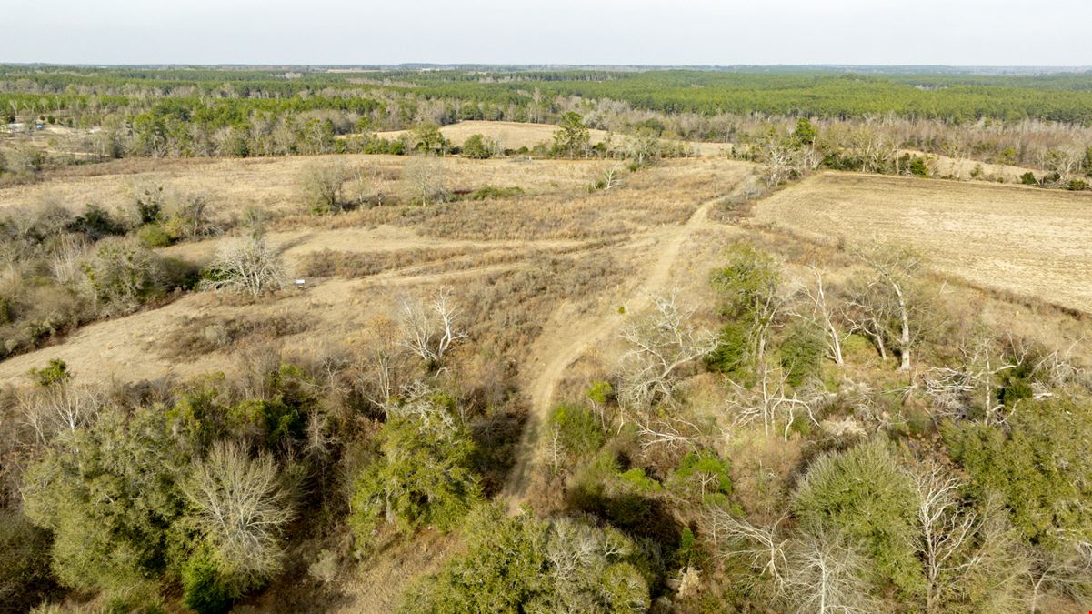 Telfair Tract 1