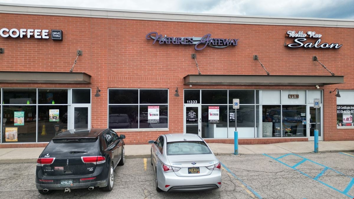 Hartland Pointe Plaza