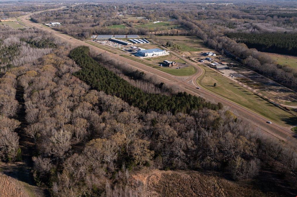 Premier Flora, MS Development Opportunity