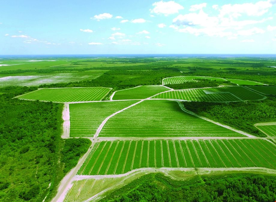 Manatee County Farm Land