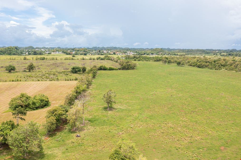 Moca Prime Industrial Land - For Sale