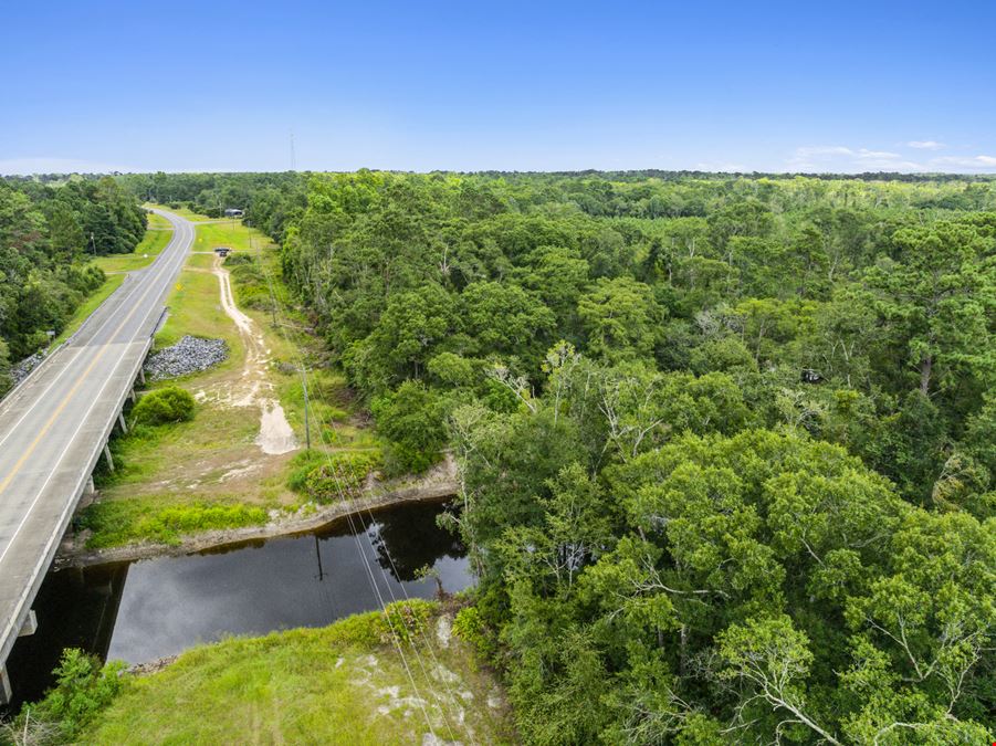 Withlacoochee River Timber and Hunting