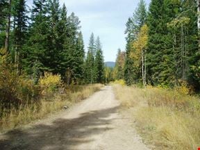 320 Private Wooded Acres Minutes West of Kalispell, Montana