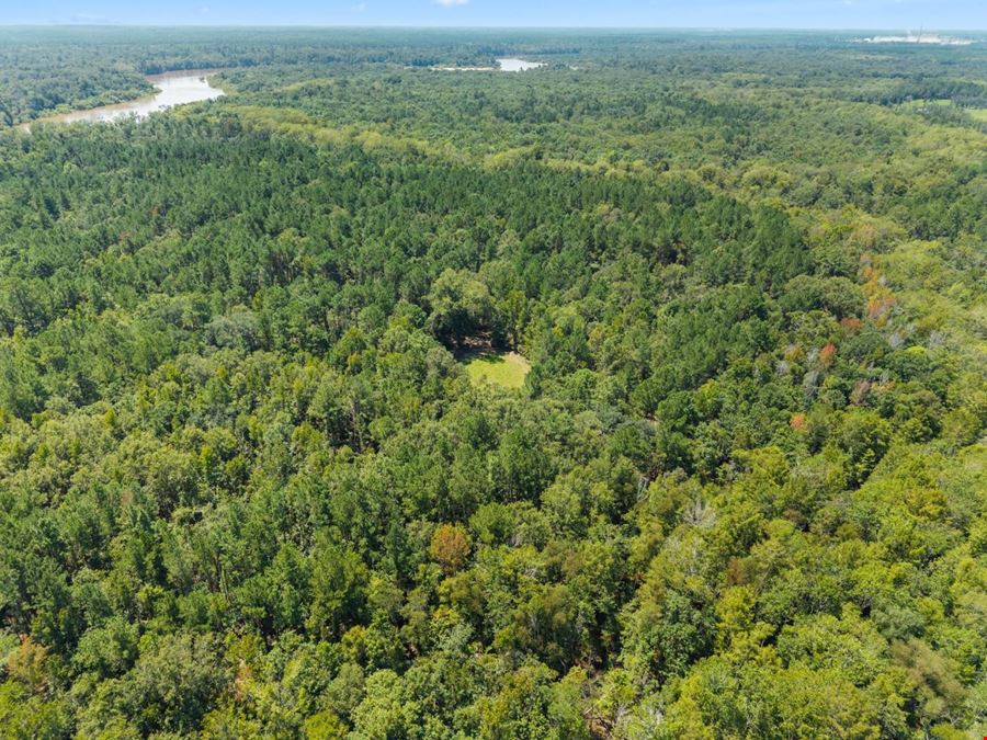 1726 GA Hwy 147