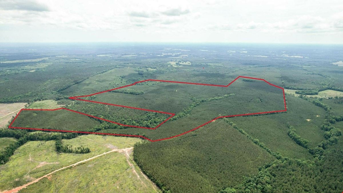 +/- 323 Acre Wooded Tract - Saluda County SC