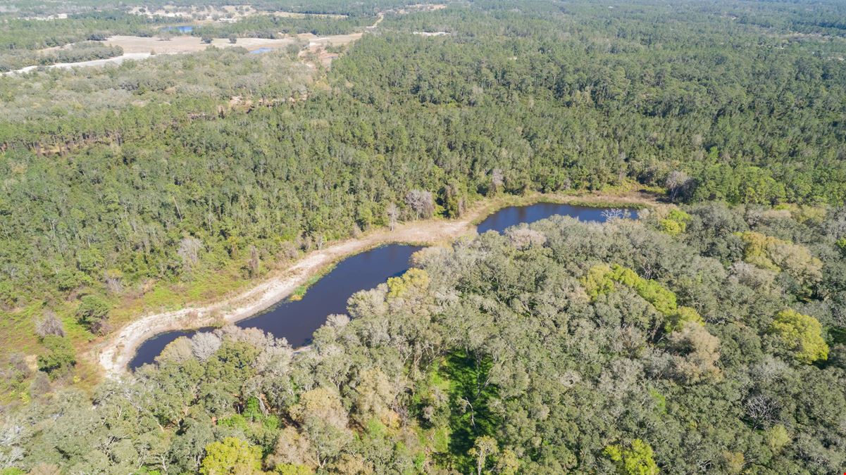 Shaw Lake Rd
