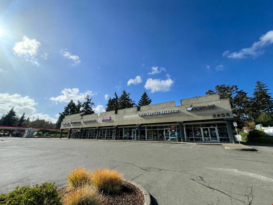 South Commercial Retail