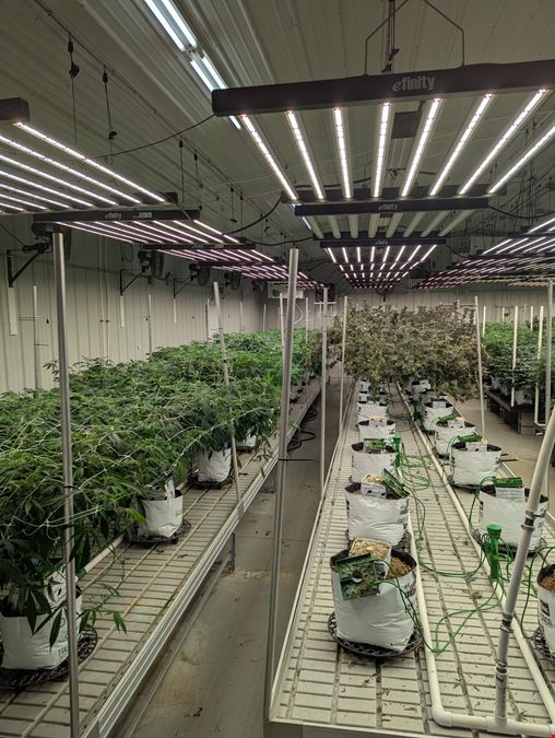 Edmore - Operating Cultivation Facility