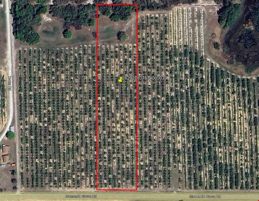 Mammoth Grove Road Lot 3