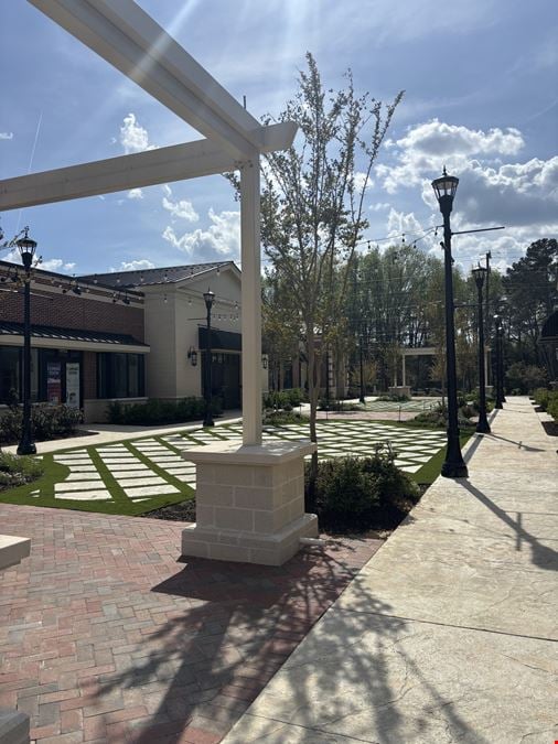 Lane Professional Park