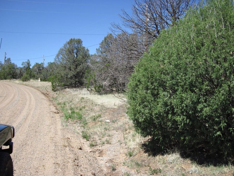 156 Jesse James Rd