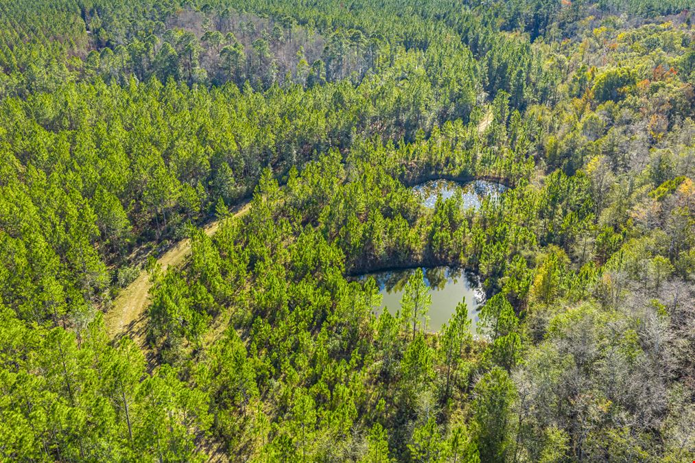 Clay County Timber and Recreation