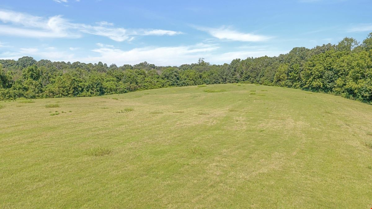 Henagar Investment Land 41 Acres