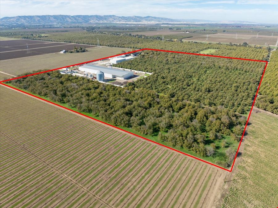Organic Walnut Orchard & Processing Facility