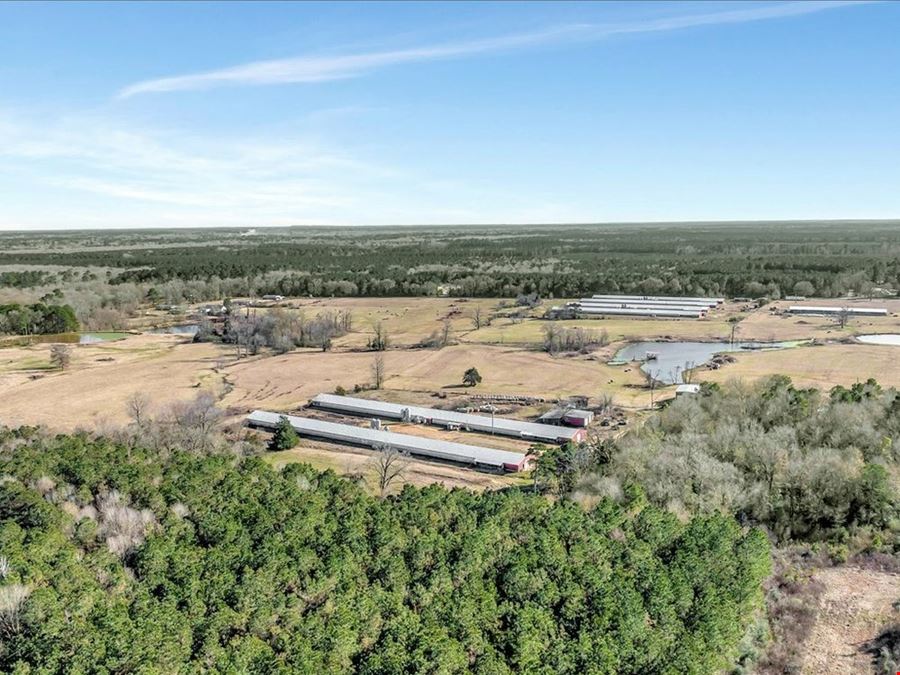 Breeder Farm In Marshall