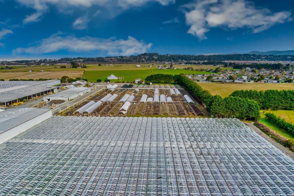 Arcata Greenhouses