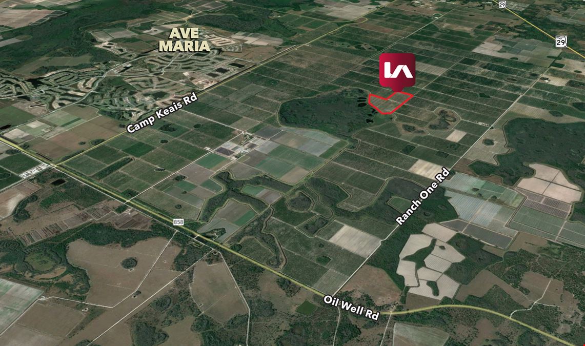 84.7± Acres