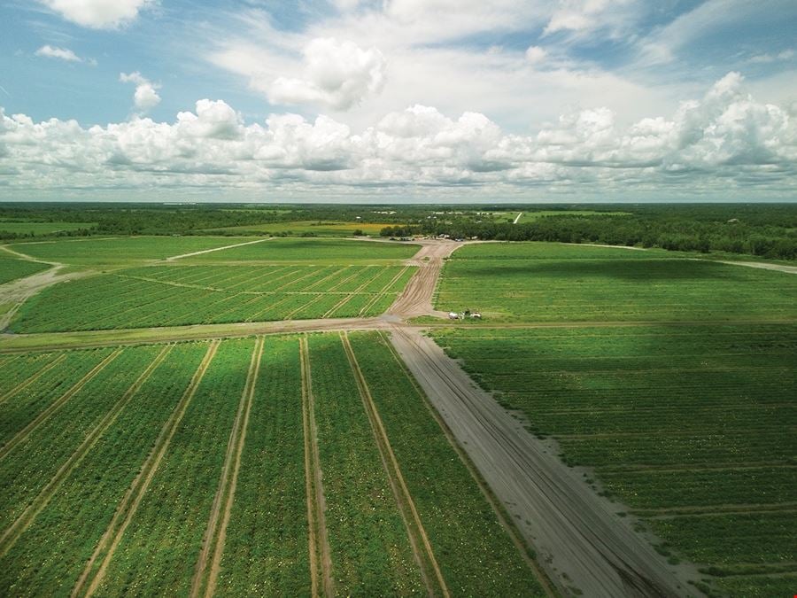 Manatee County Farm Land