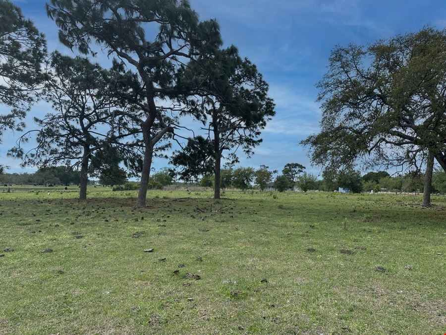 Sanders Road 20 Acres