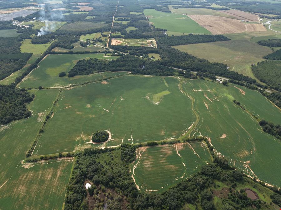 305.50 Acres Campbellton Land Development Opportunity