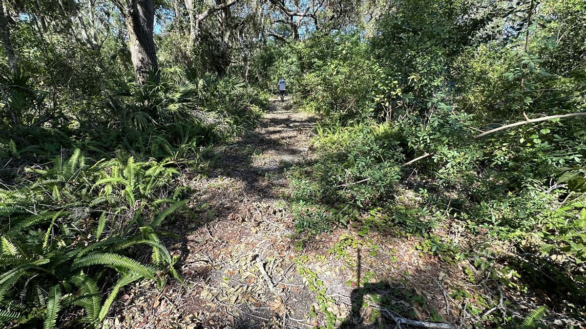 Executive Homesite - 4.19 Acres, Florida