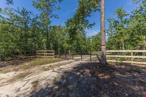 111+/- Acres of Recreational Tract Geared for Hunting on the Aiken and Barnwell County Line