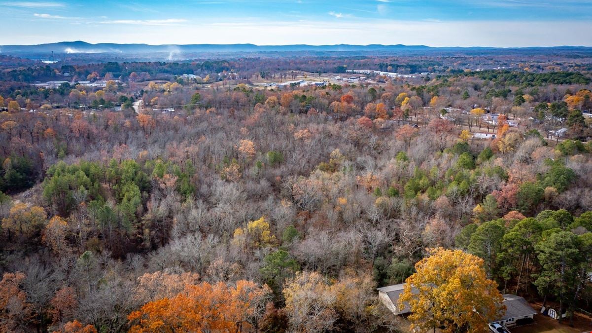 Mountain Pine Development Land