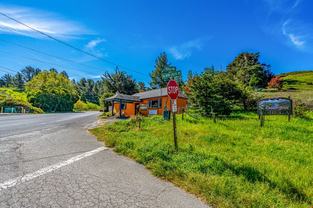 17235 Bodega Hwy