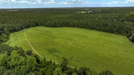 Preview of VacantLand space for Sale at Wallace Parker Dr