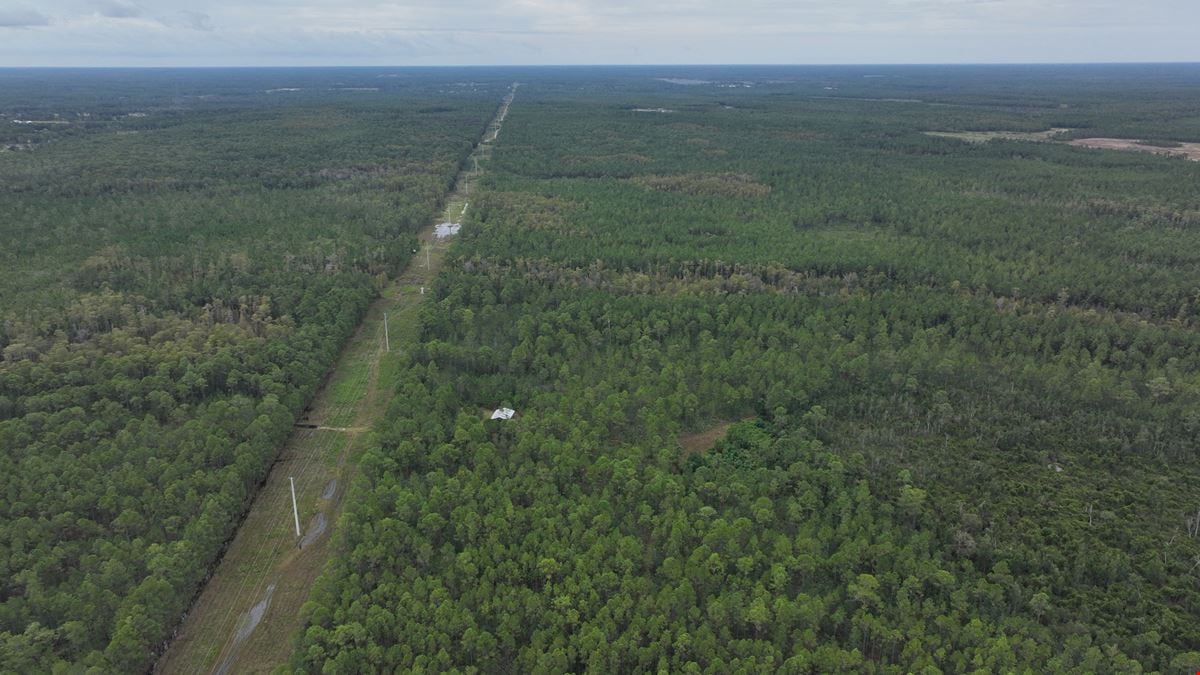 Tomoka Farms Road 411 ± Acres