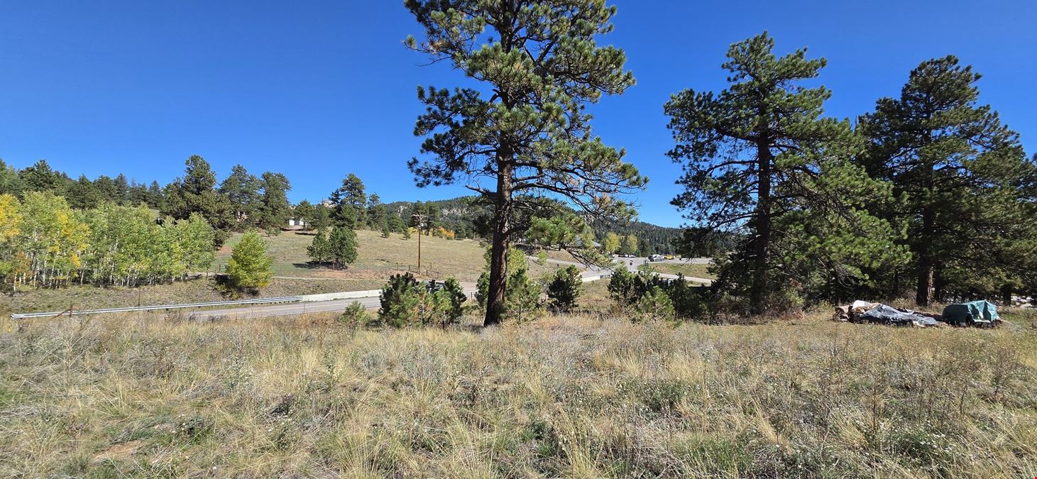 TBD Conifer Road