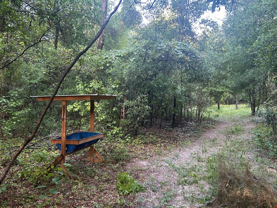 Fort White 58.7 Acres