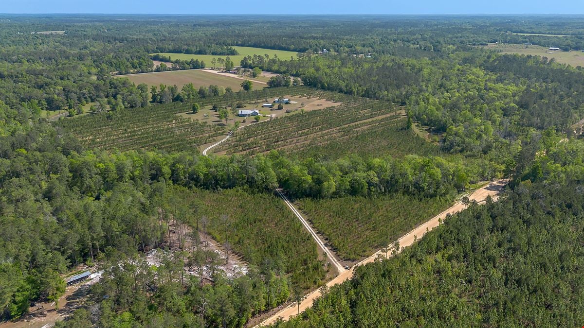 41+/- AC Residence, Farm, Timber + 1200 SF & 1800 SF storage buildings