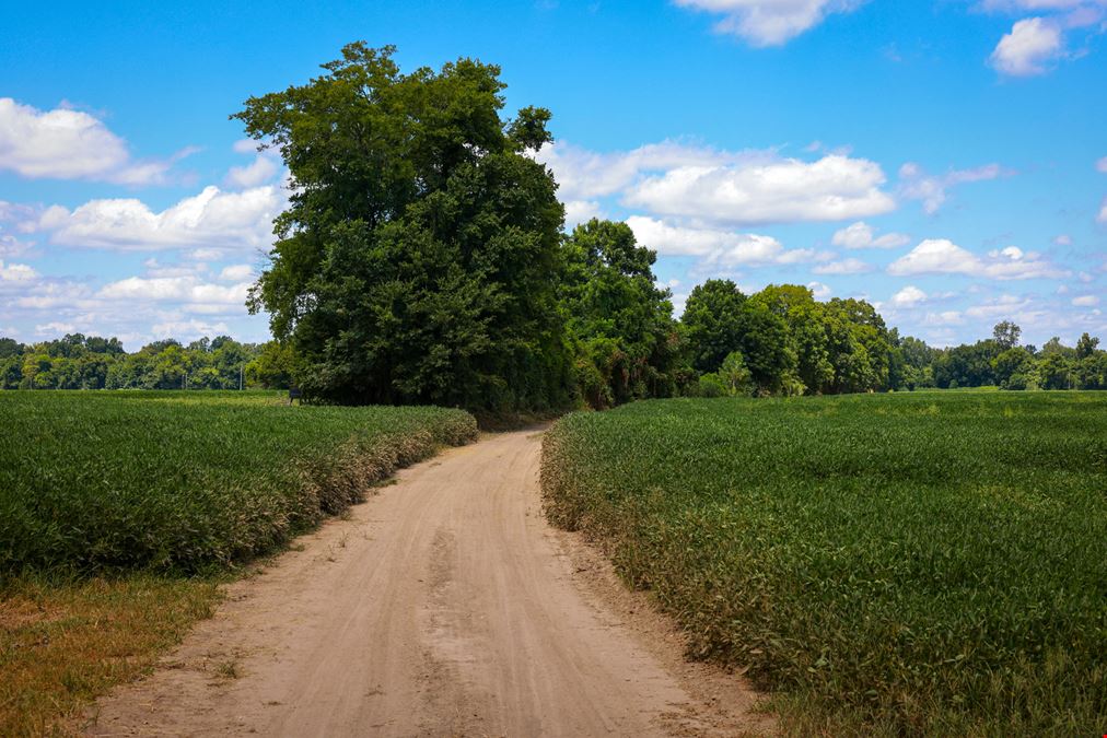 Snow Lake Farm & Recreation