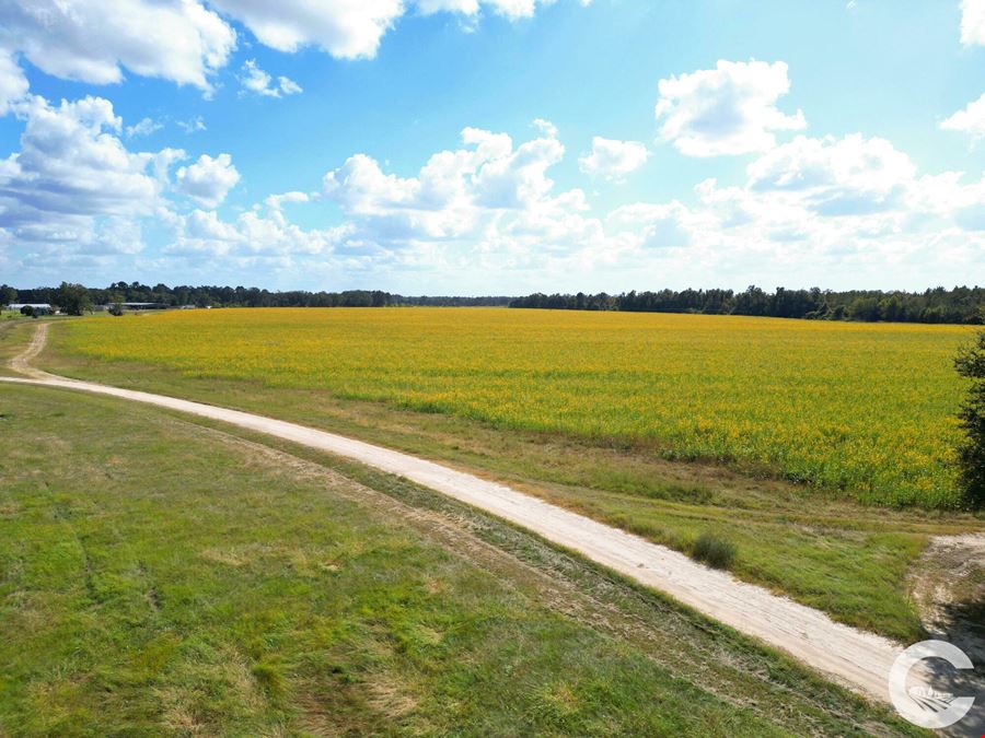 671 +/- Acres of Certified Organic Farmland in Decatur County, GA