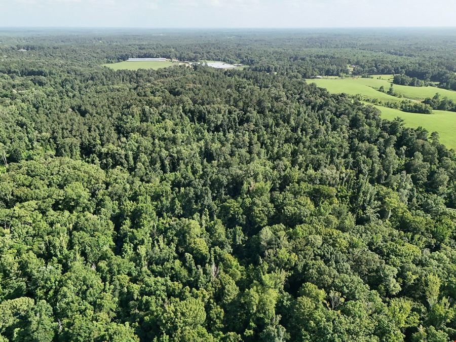 Residential Development Opportunity
