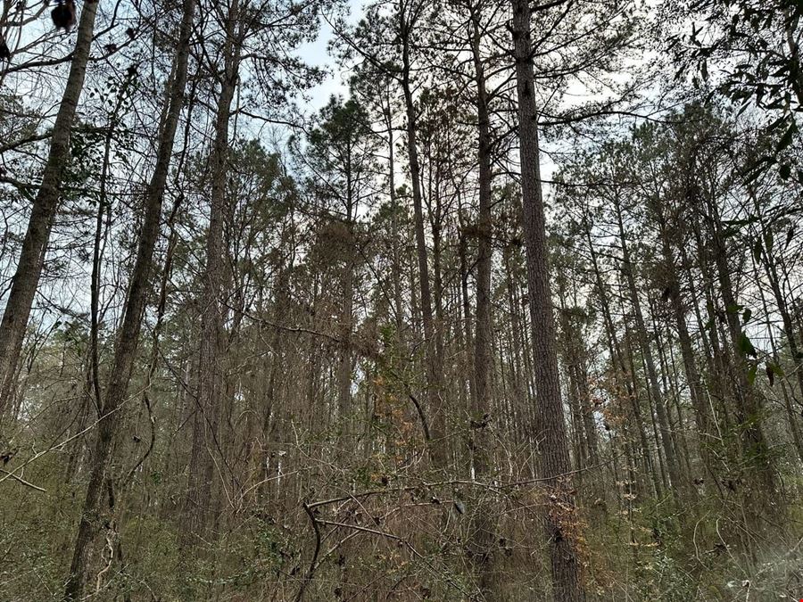 2881 Hwy 589